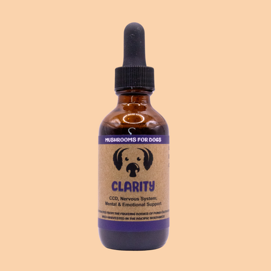 MyCoDog Tincture - Clarity