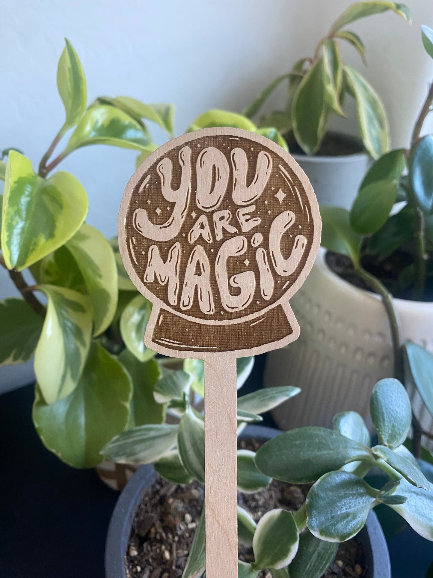 Wooden Stake Plant Marker Decor - You are Magic