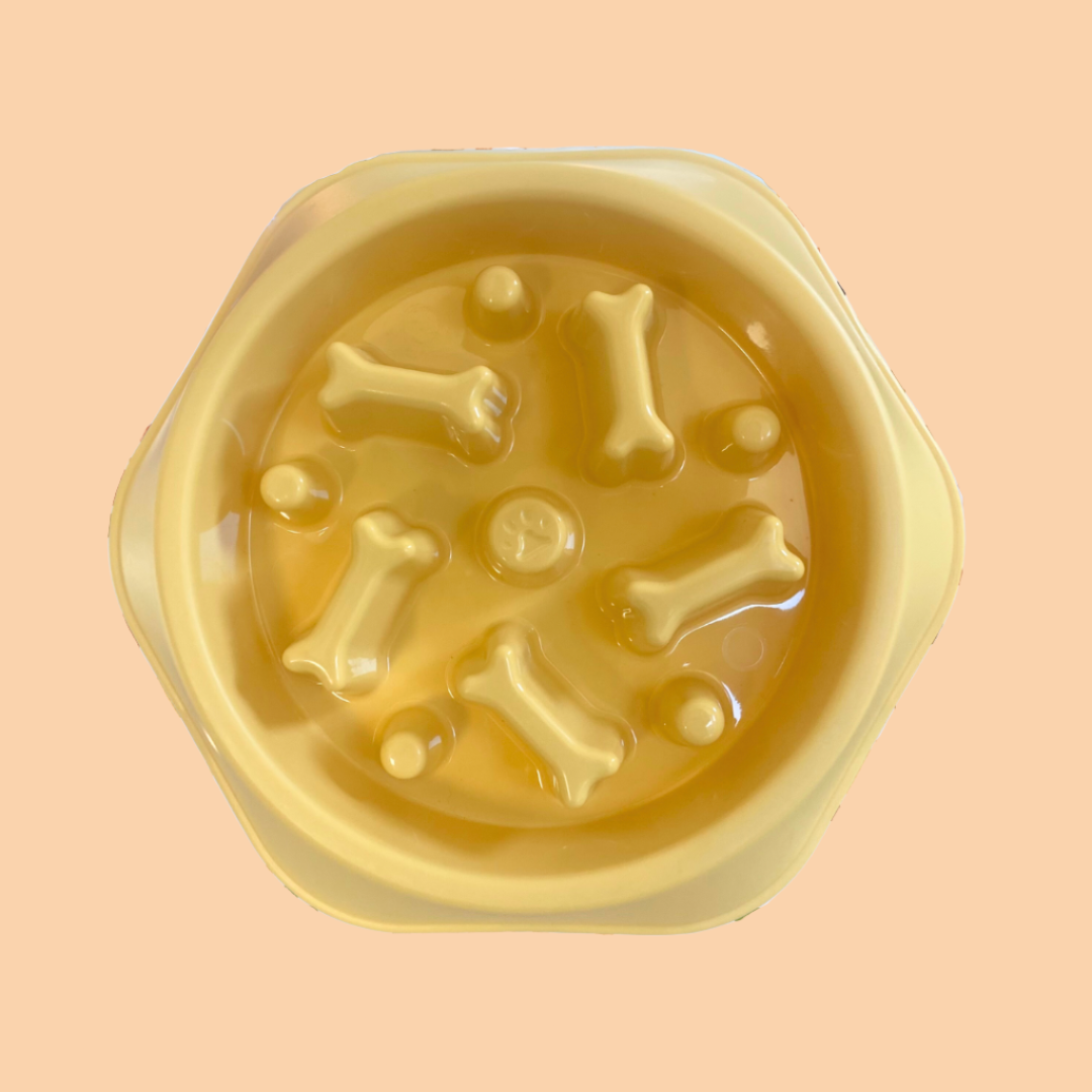 Slow Feed Enrichment Dog Bowl - Yellow Bones