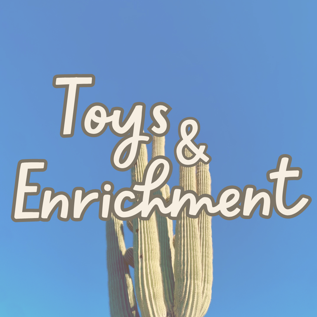 Toys and Enrichment