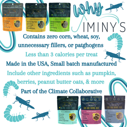 Jiminy's Dental Chews for Dogs