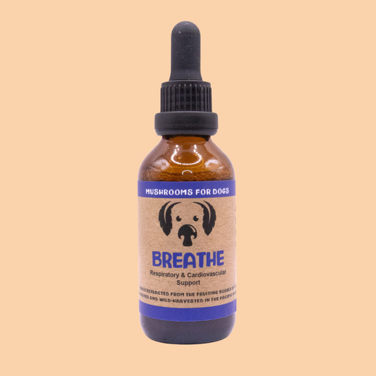 MyCoDog Mushroom Tincture - Breathe