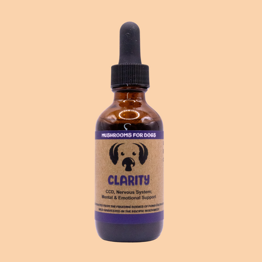 MyCoDog Mushroom Tincture - Clarity