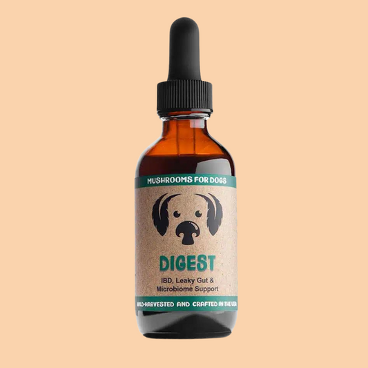 MyCoDog Mushroom Tincture - Digest