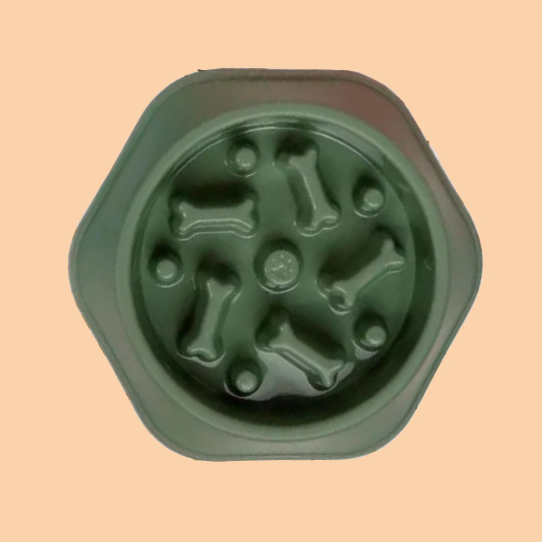 Slow Feed Enrichment Dog Bowl - Green Bones