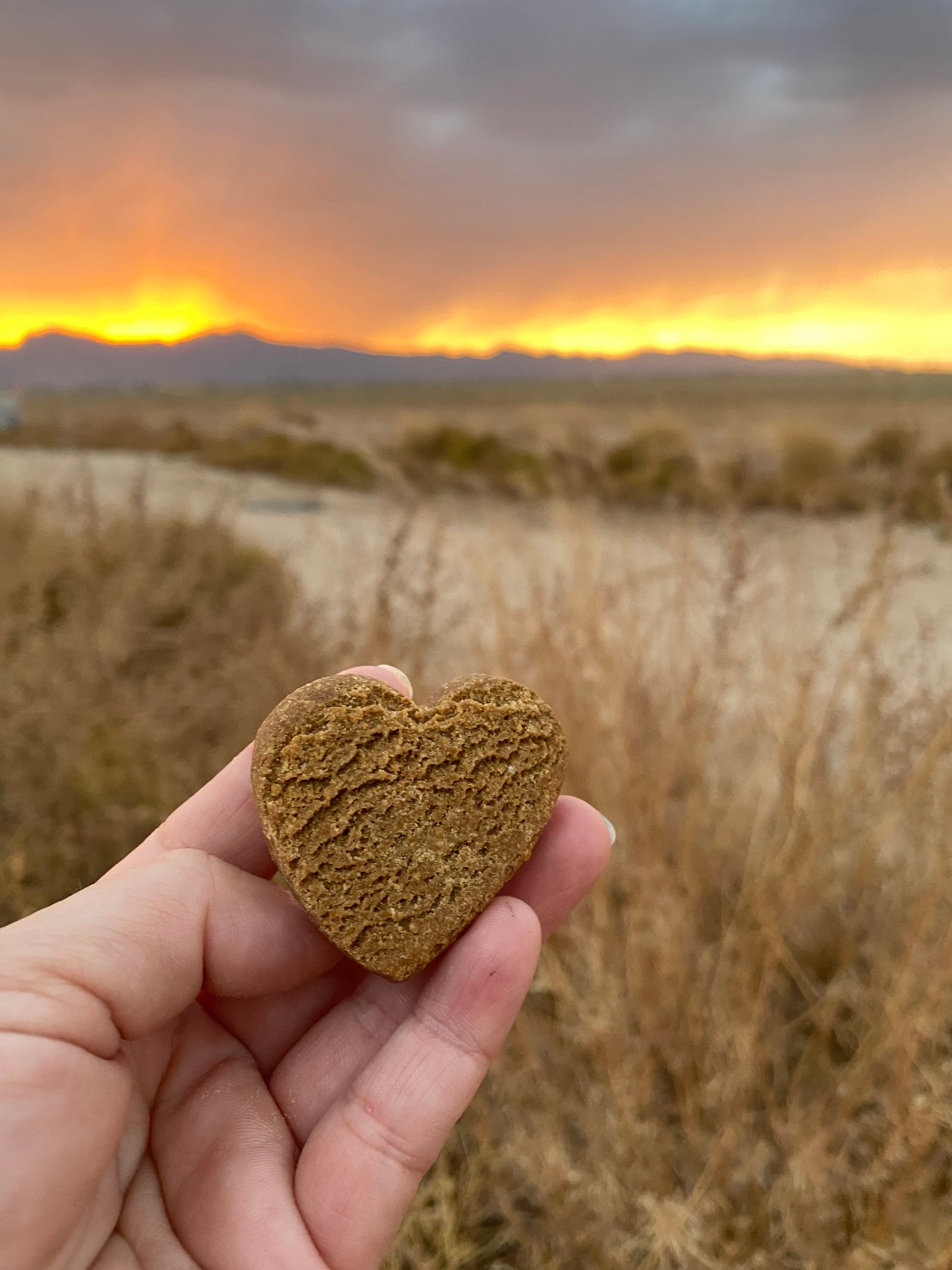 Suzie's CBD Treats 4mg Hearts - Apple