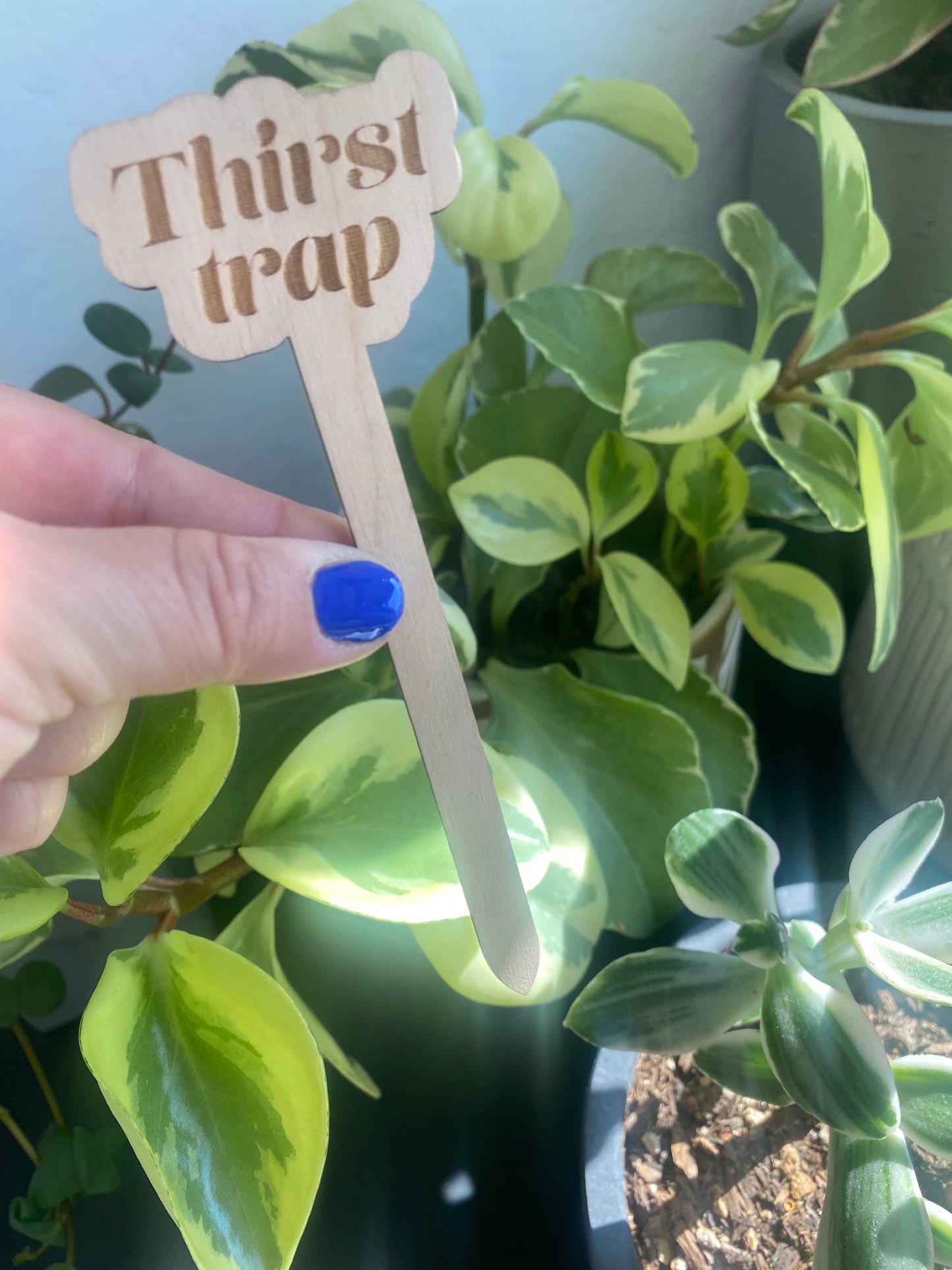 Wooden Stake Plant Marker Decor - Thirst Trap