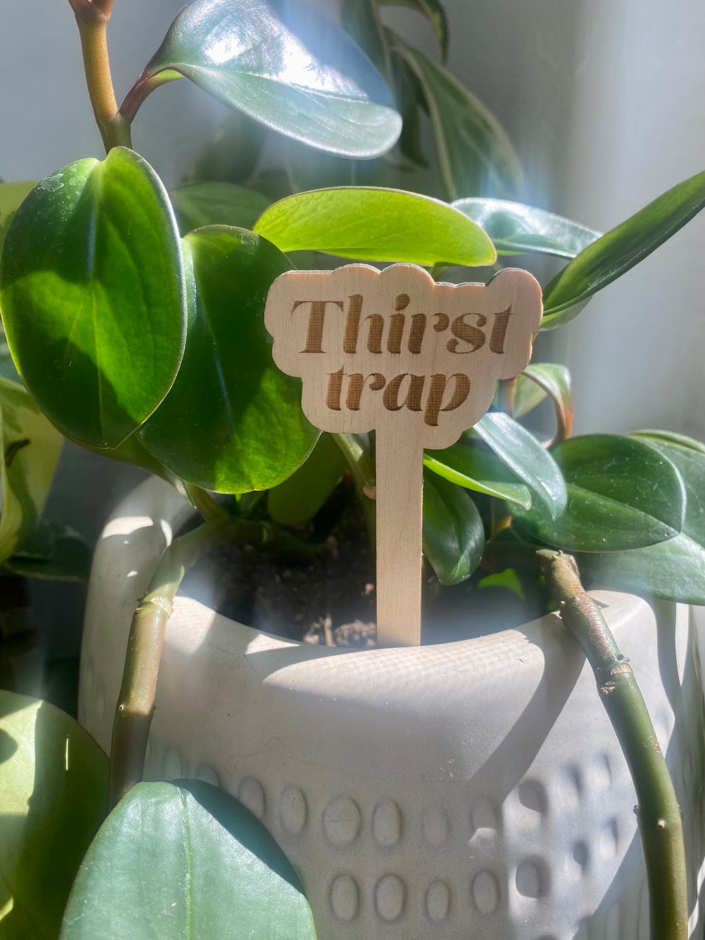 Wooden Stake Plant Marker Decor - Thirst Trap