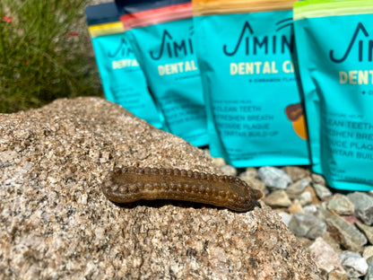 Jiminy's Dental Chews for Dogs