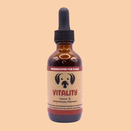 MyCoDog Mushroom Tincture - Vitality