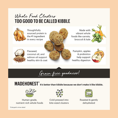 The Honest Kitchen Grain Free Beef Clusters